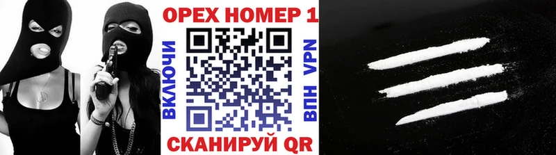 Кокаин Эквадор  kraken рабочий сайт  Петровск-Забайкальский  цена наркотик 