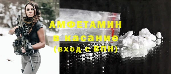 мет Ельня