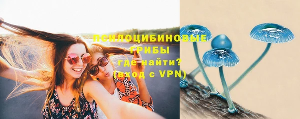 прущий лед Алексеевка