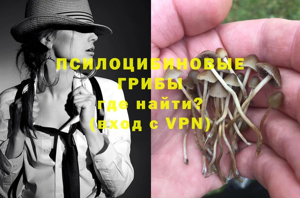 спайс Алзамай