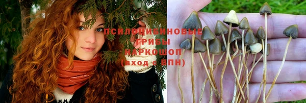 эйфоретик Покров