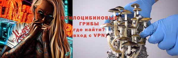 спайс Алзамай