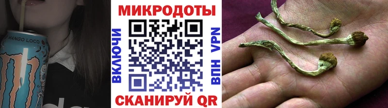 купить  сайты  Петровск-Забайкальский  Псилоцибиновые грибы мухоморы 